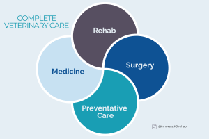 Rehabilitation In Veterinary Medicine