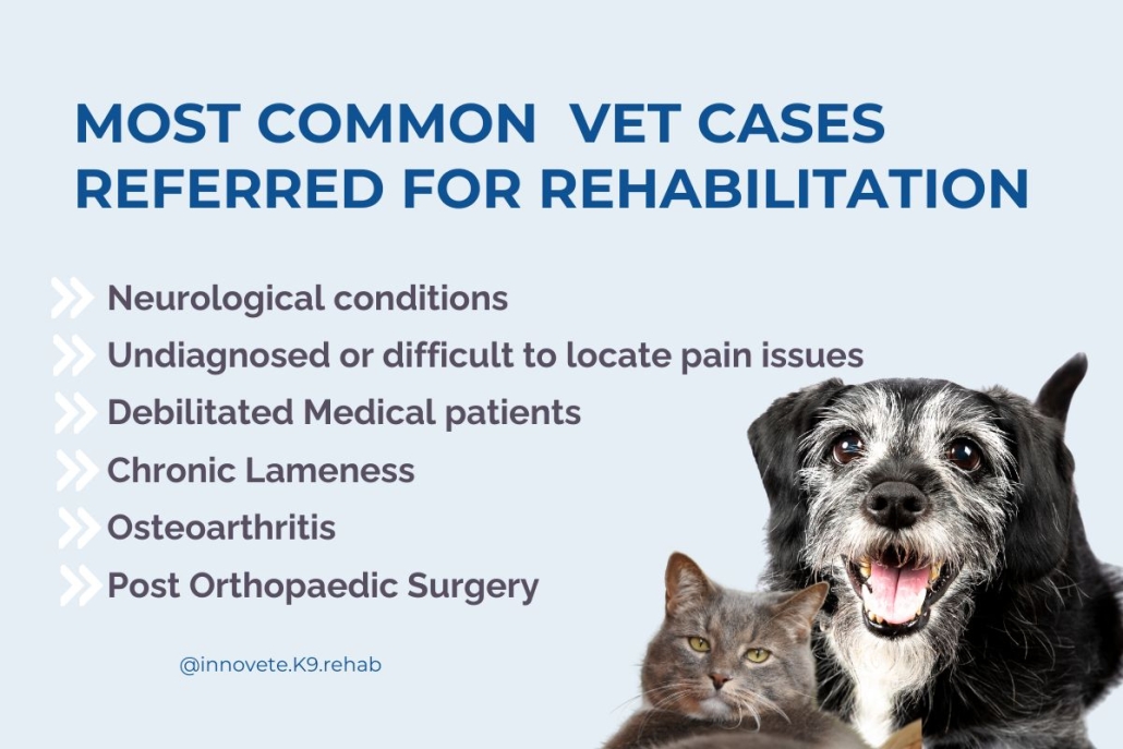 Rehabilitation referrals for Vets