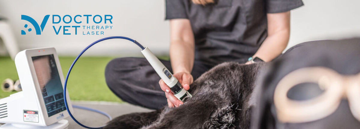 Doctor Vet Laser Therapy for Veterinarians