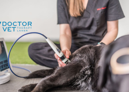 Doctor Vet Laser Therapy for Veterinarians