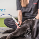 Doctor Vet Laser Therapy for Veterinarians